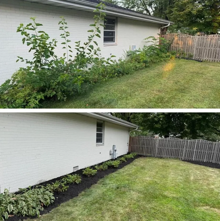 Weed Removal