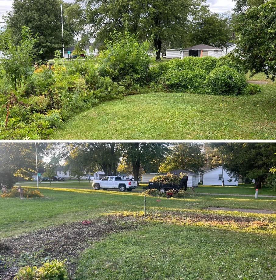 Shrub Removal Services