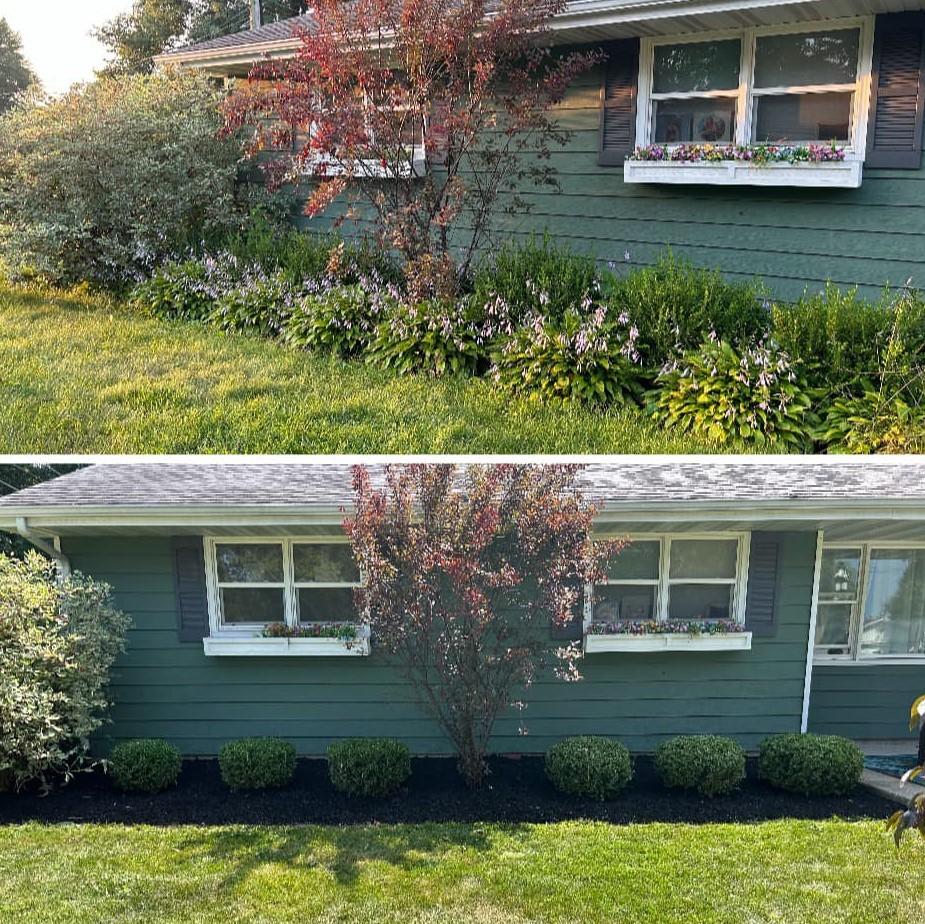 Spring & Fall Removal