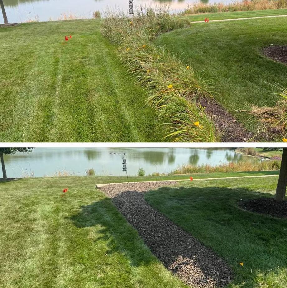 Weed Removal