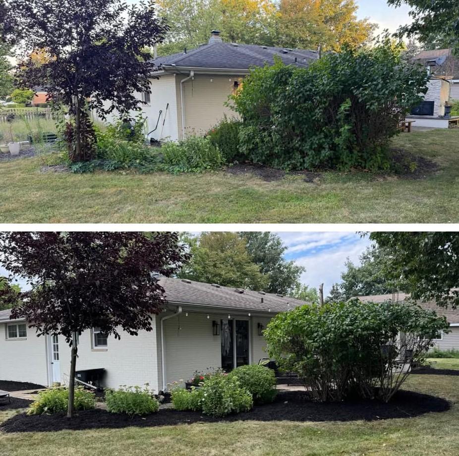 Weed Removal Services