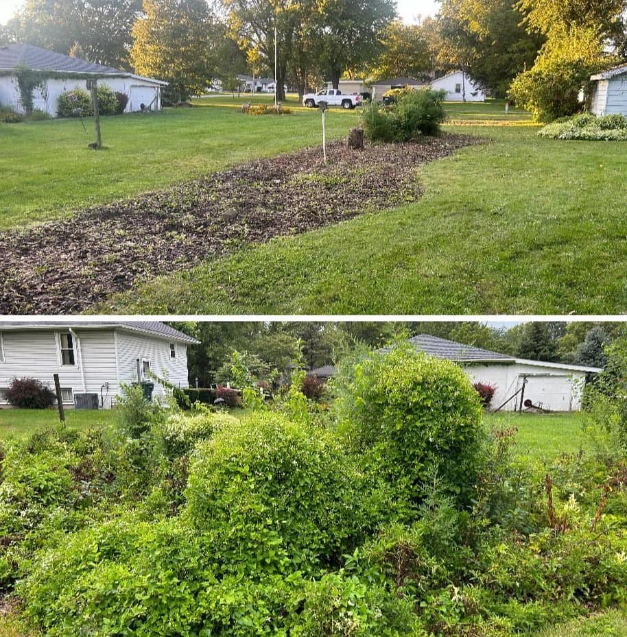 Shrub Removal