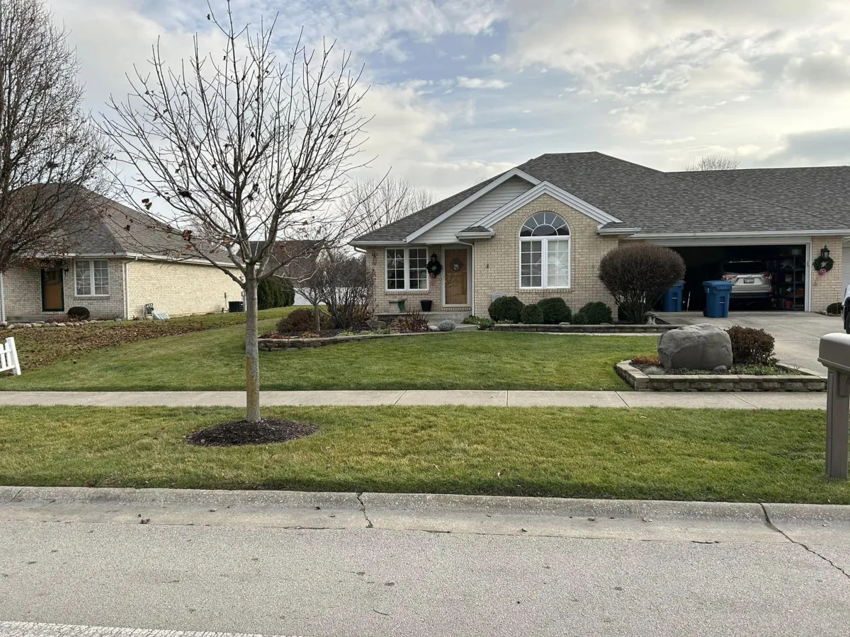 Landscape Renovation