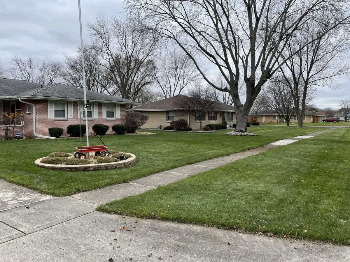 Spring Cleanup