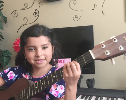 Fiddle Violin Coachella Valley