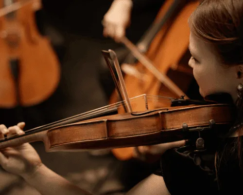 Coachella Valley Fiddle Violin