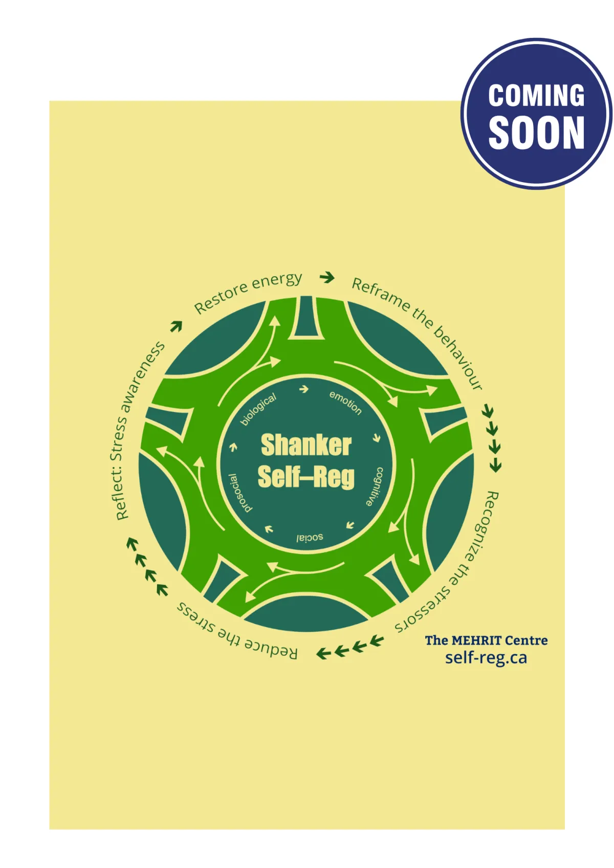 Image of Shanker self-Reg, illustrating concepts of self-regulation