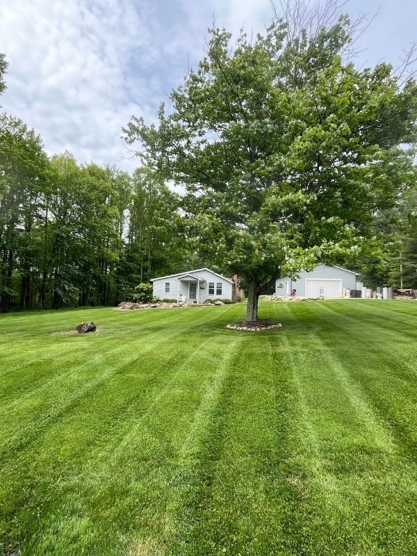 Mowin' & Growin' Lawn Care Client Yard in Doylestown, OH