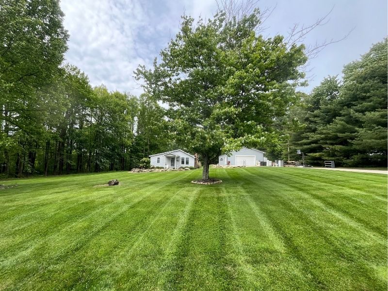 fertilization and weed control results in doylestown ohio