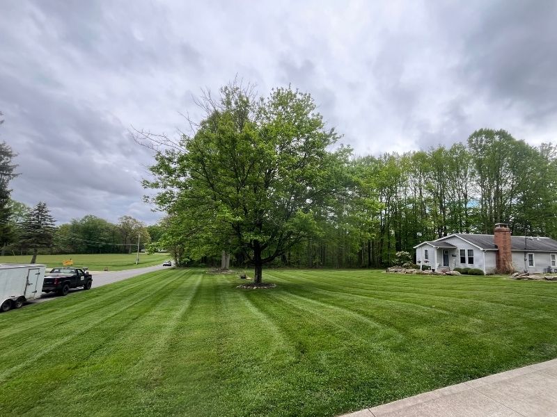 fertilization and weed control in doylestown, ohio