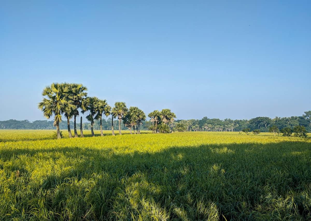 Land Title Search in Ghana: Step-by-Step Guide (2026)