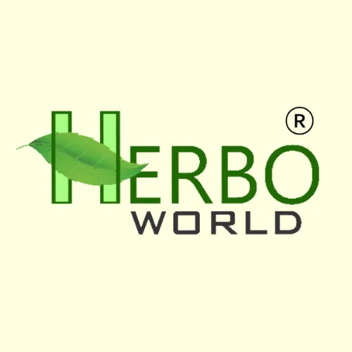 Hebo World®️