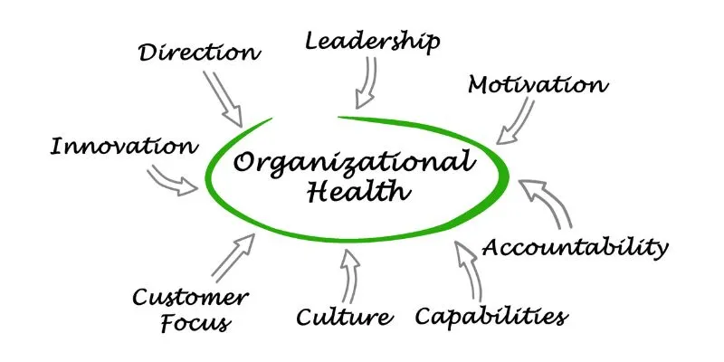 Organizational Leadership Assessment: A Guide to Building Stronger Leaders
