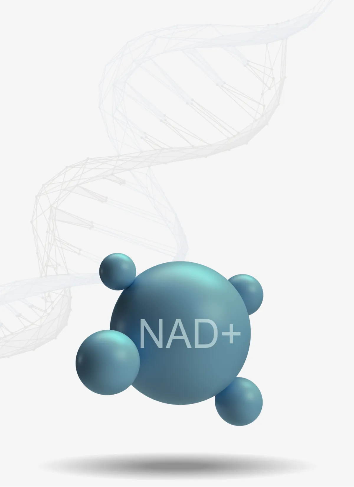 NAD In Houston,TX