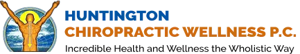 Massage on the Run & The Wholistic Wellness Center logo