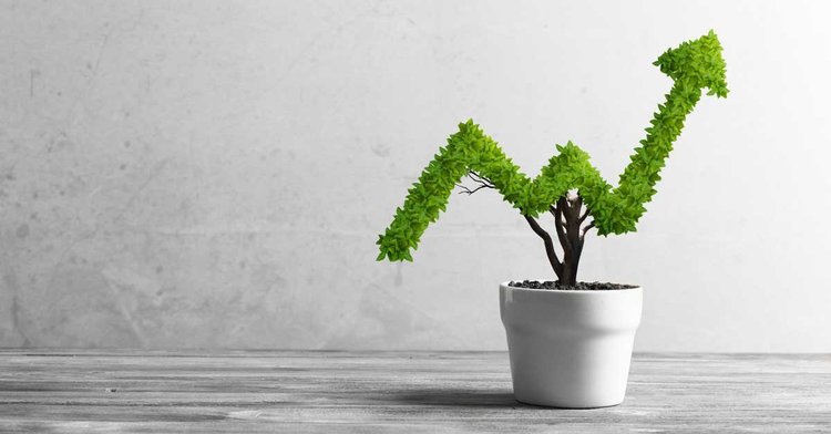 Plant that is an upward pointing arrow