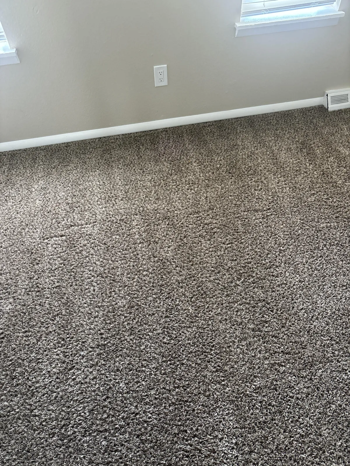 Professional pet stain carpet cleaning results in a Highlands Ranch home