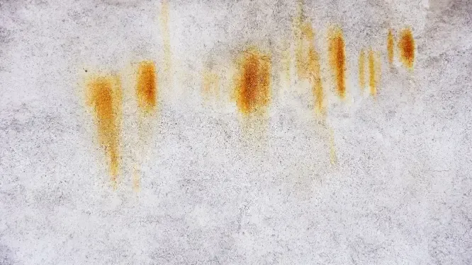 Stain Removal
