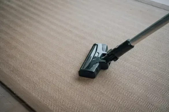 Same-Day Carpet Cleaning