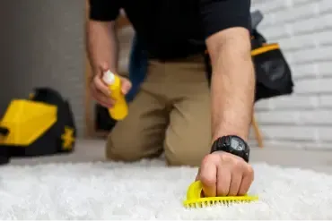 Carpet Restoration