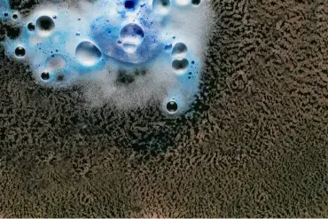 carpet enzyme treatment