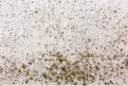 Carpet hard water treatment