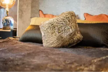 Hard Water Castle Rock Lvt Cleaning