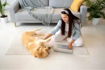 castle rock pet urine carpet cleaning same day