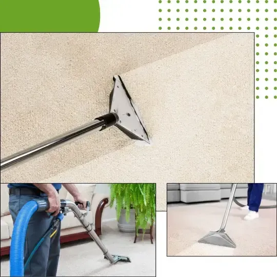 Colorado Choice Carpet Cleaning IICRC Certification