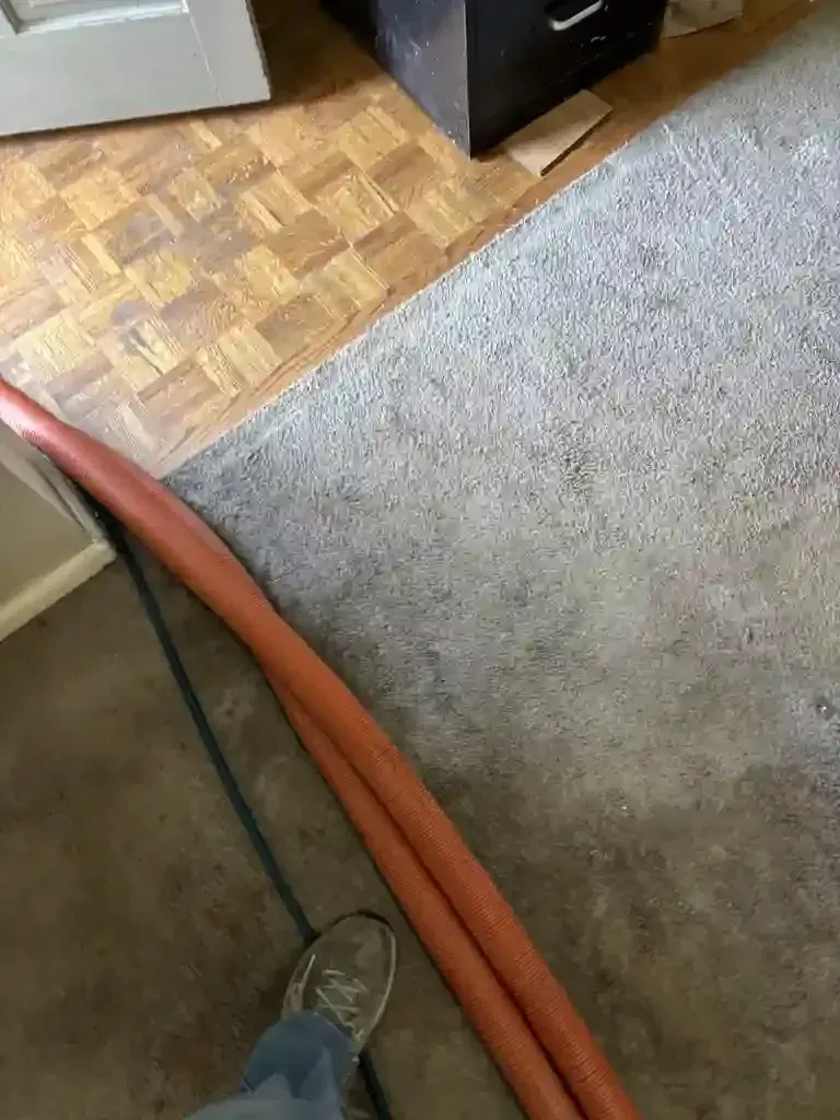 Pressure Washing in Denver Metro
