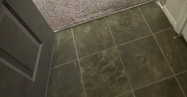 Tile Cleaning in Denver Metro