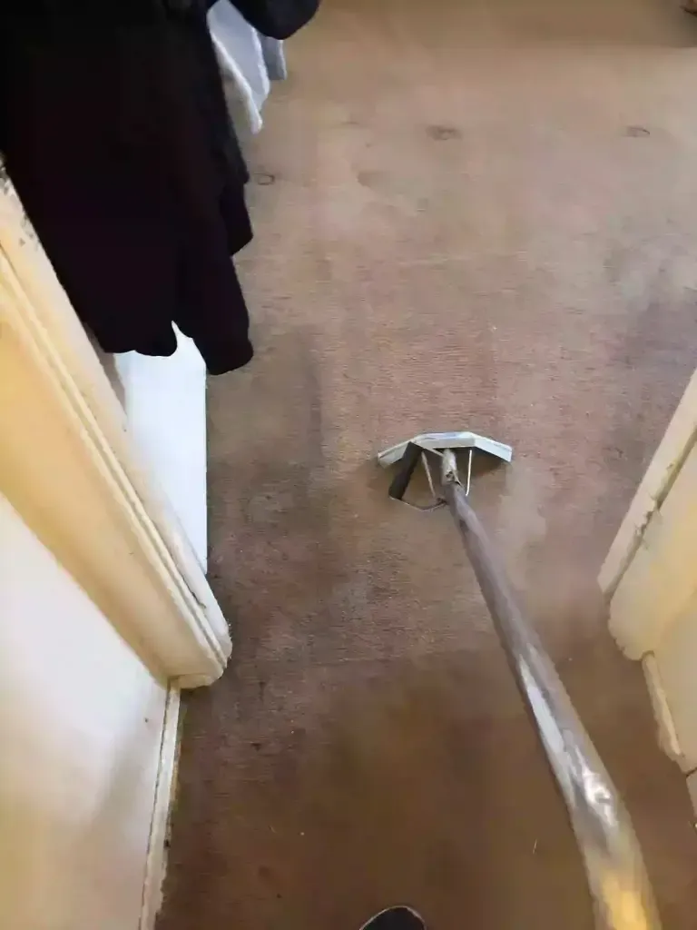 Castle Rock carpet cleaning