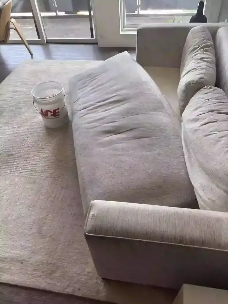 Upholstery Cleaning and Indoor Air Quality In Denver Metro