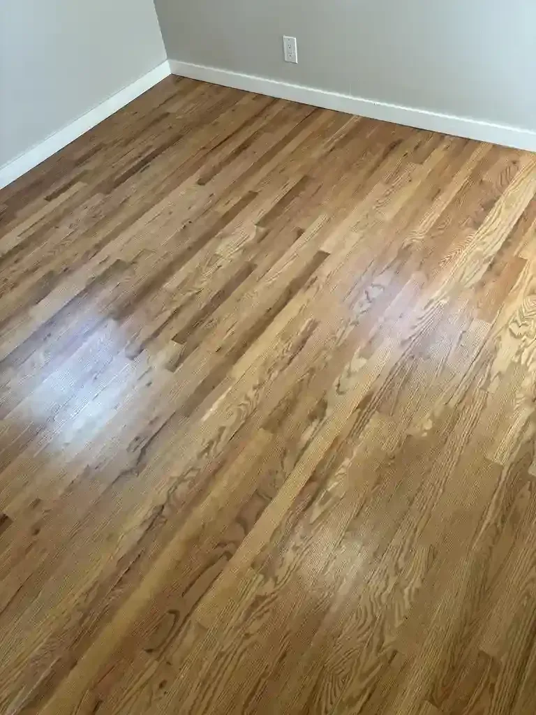 Pet Urine Stains and Odor on Hardwood Cleaning in Denver Metro