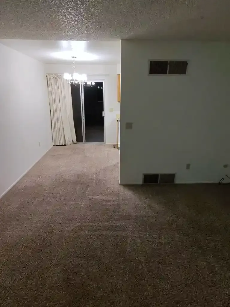 Same-Day Carpet Cleaning Real Estate Houses in Denver Metro