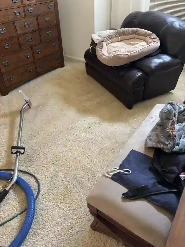Move-out same-day carpet cleaning for tenant turnover