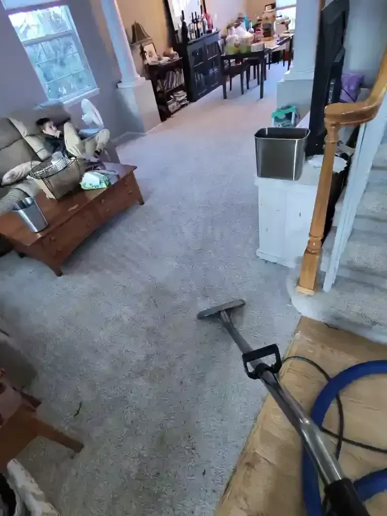 Unexpected Guest Arrival Same-Day carpet cleaning in Denver Metro