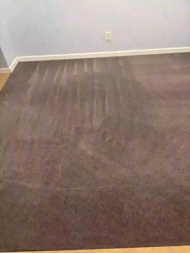 Castle Rock Red Clay Carpet Cleaning