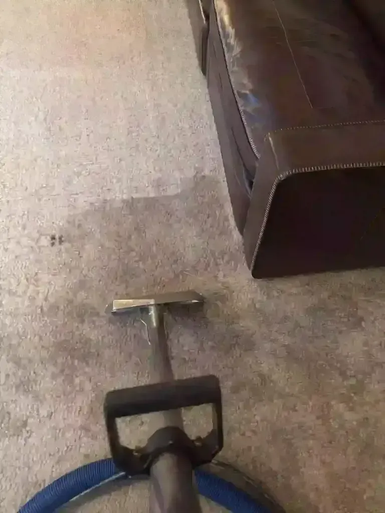 Carpet Cleaning Service in Castle Rock Colorado