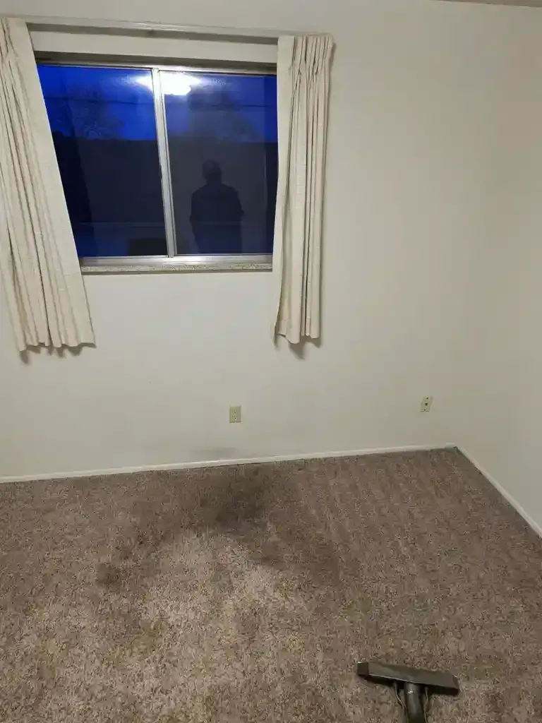 Same-Day Carpet Cleaning Service in Castle Rock Colorado