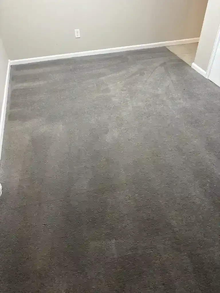 Emergency Carpet Cleaning Service in Castle Rock Colorado