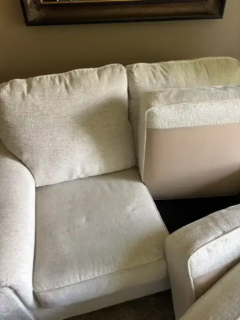 Professional Upholstery Cleaning Services in Centennial