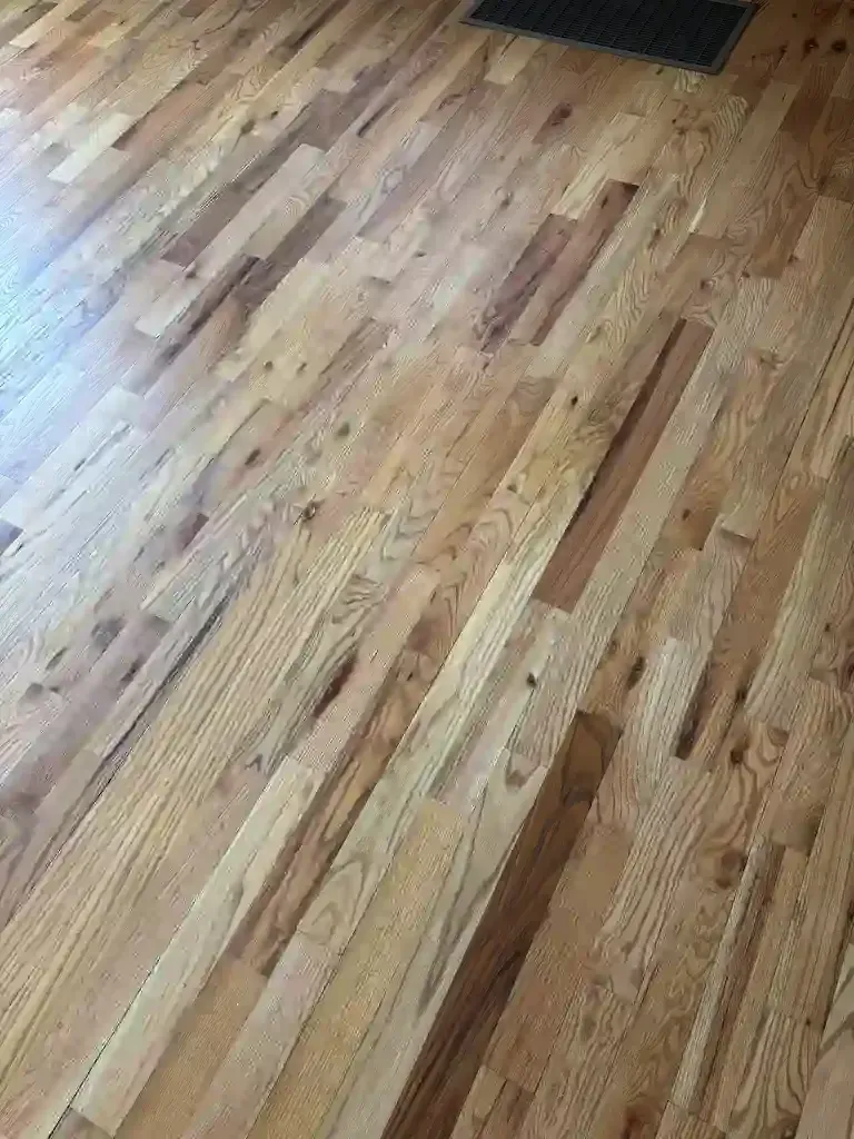 Castle Pines LVT Mopping Cleaning Disadvantage