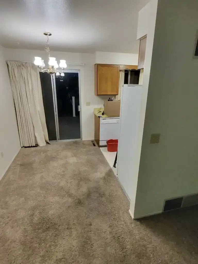 Emergency carpet water damage cleanup in Castle Pines