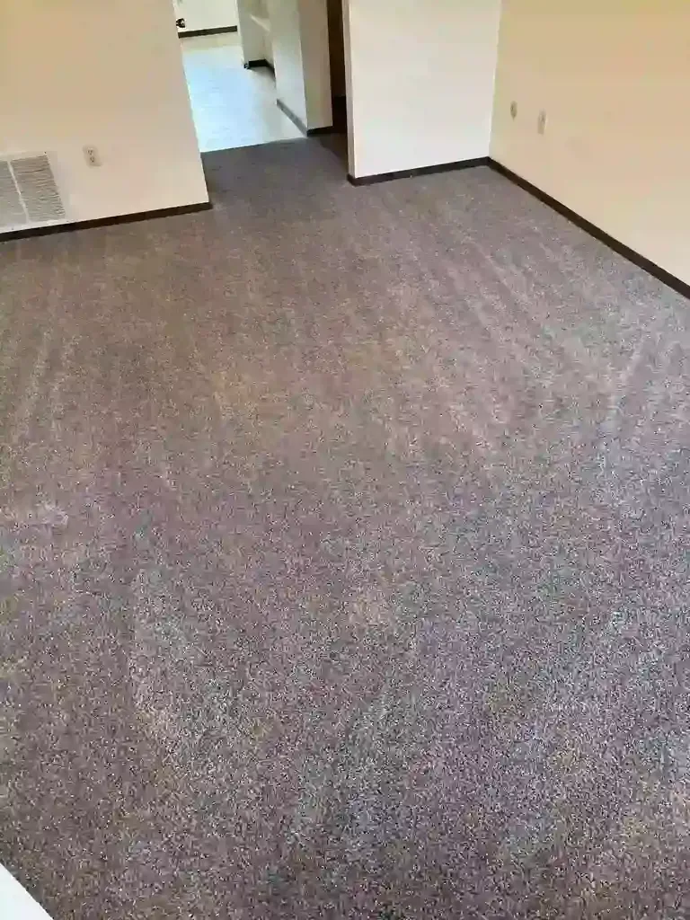 Emergency Carpet Damage Restoration and Cleaning in Castle Pines