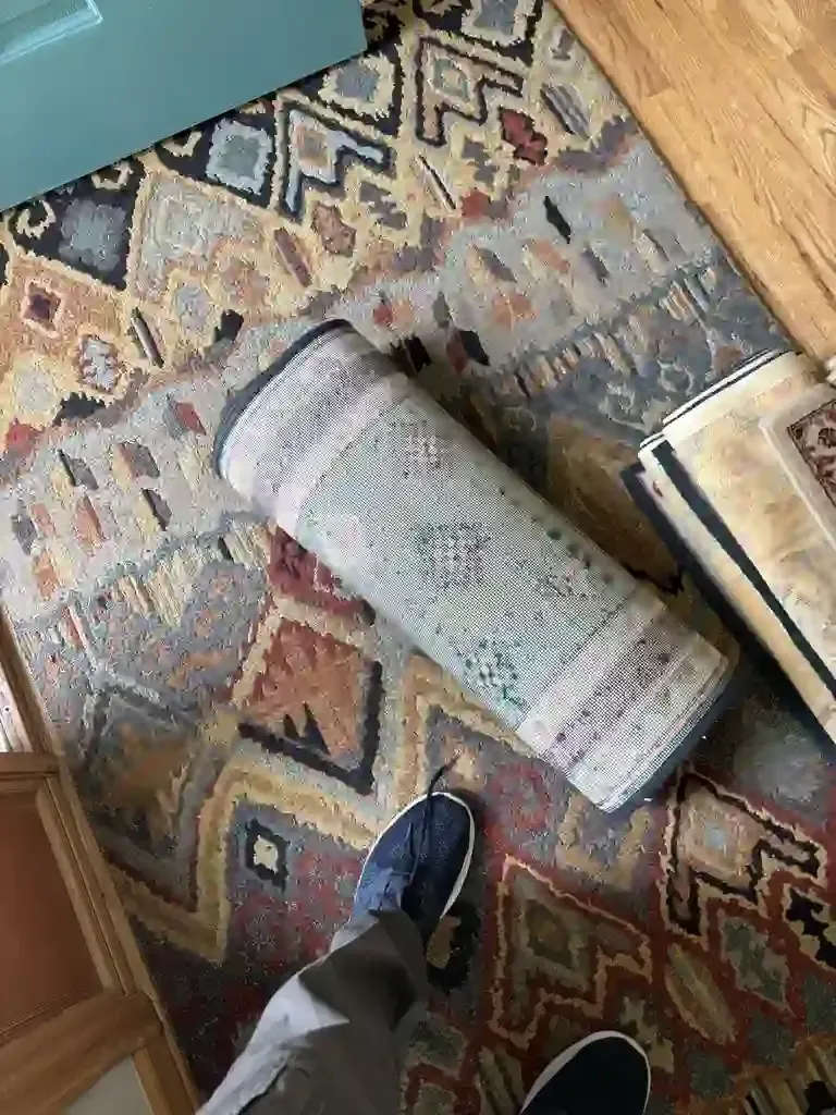 Carpet Restoration Treatment in HighLands Ranch