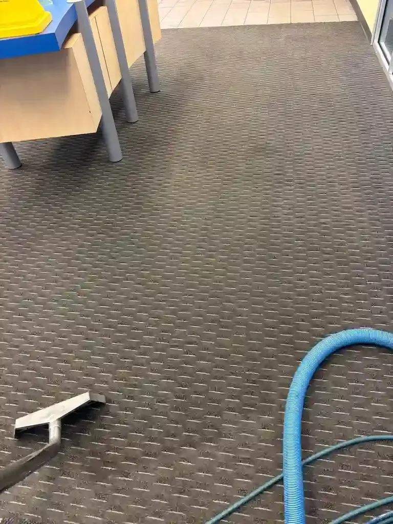  "Basement flooding emergency carpet cleaning in Highlands Ranch — spring snowmelt Category 2 water damage response"