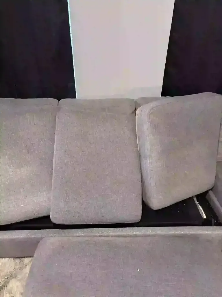 Dust Mite Population in Castle Rock Upholstery Cleaning