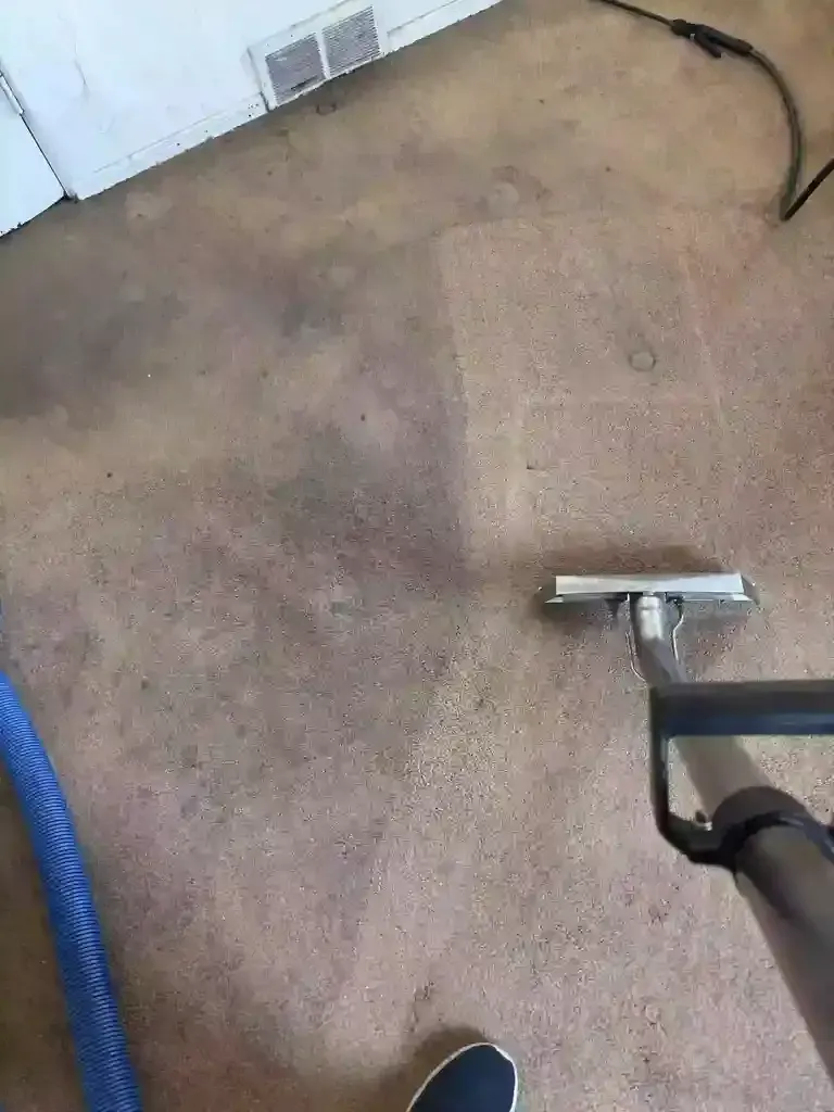 Fastest Same-Day Carpet Cleaning Responce in Castle Rock