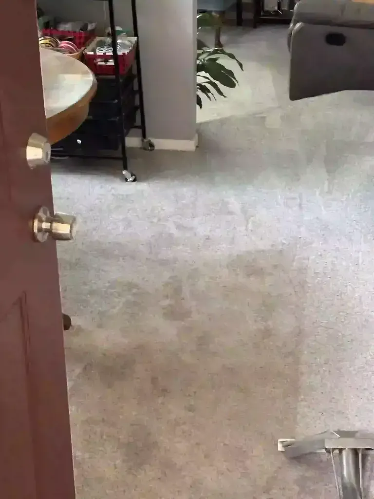 Castle Rock Housing Property Emergency Carpet Cleaning
